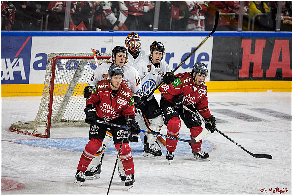 DEL, Koelner Haie - Grizzlys Wolfsburg, 07.03.2017